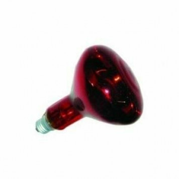 Лампа накаливания ИКЗК-215-225-250 /Калашниково/-0