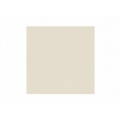 Керамогранит 300*300*8мм У100 Молочный, матовый